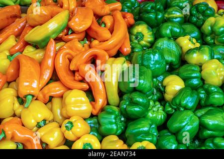 Scelta colorata di peperoni in vendita in un mercato Foto Stock