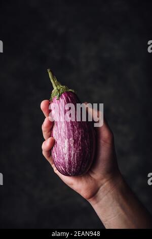 Una melanzana viola in mano Foto Stock