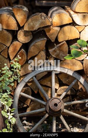 Ruota di legno da un carrello antico in piedi di fronte legna da ardere tagliata Foto Stock