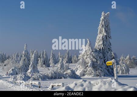 Kahler Asten montagna con spruces nevoso e luna Foto Stock