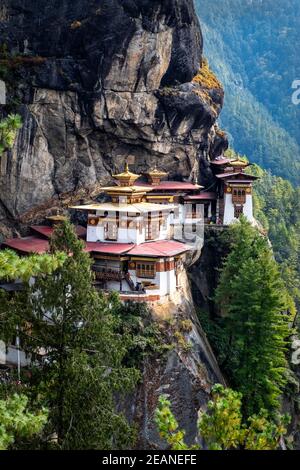 Monastero di Tiger's Nest, un luogo sacro buddista dell'Himalaya Vajrayana situato nell'alta valle di Paro nel Bhutan, in Asia Foto Stock