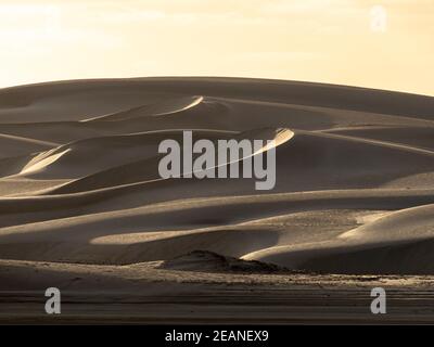 Le dune di sabbia del barkhan spazzate dal vento sull'isola barriera di Isla Magdalena, Baja California sur, Messico, Nord America Foto Stock