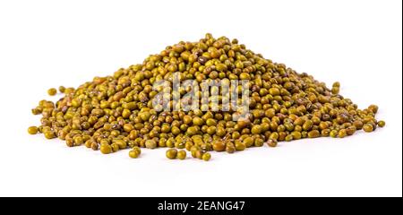 Mash, fagioli grezzi verdi su sfondo bianco Foto Stock