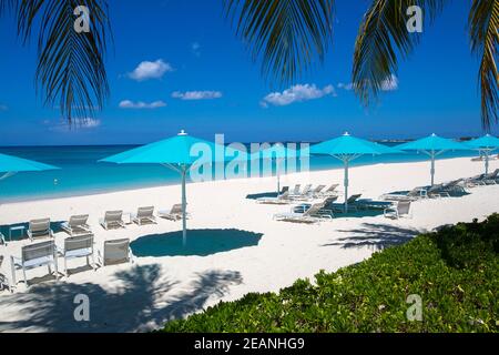 Grand Cayman Beach Deck Sedie ombrelloni blu sul bordo dell'acqua, Isole Cayman, Grand Cayman, Seven Mile Beach - Isole Cayman, sfondi, Spiaggia Foto Stock