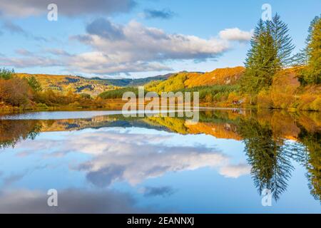 Lochan Reoidhte, Loch Lomond e il Trossachs National Park, Scozia, Regno Unito, Europa Foto Stock
