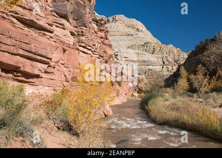 Vista lungo il fiume Fremont fino al Capitol Dome dall'Hickman Bridge Trail, Fruita, Capitol Reef National Park, Utah, Stati Uniti d'America Foto Stock