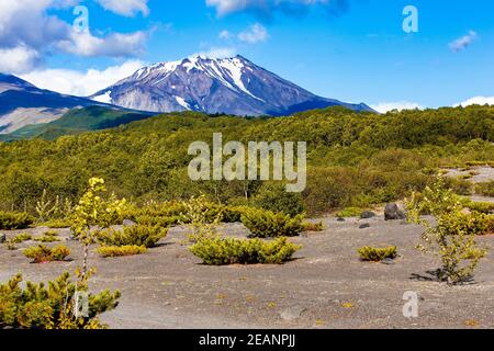 Vista sul vulcano Kozelsky e sui piedi dell'Avachinsky Vulcano su Kamchatka Foto Stock