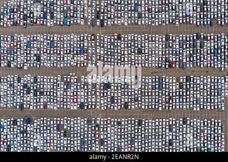 New Cars, Tilbury Docks, Tilbury, Porto di Londra, Essex, Inghilterra, Regno Unito, Europa Foto Stock