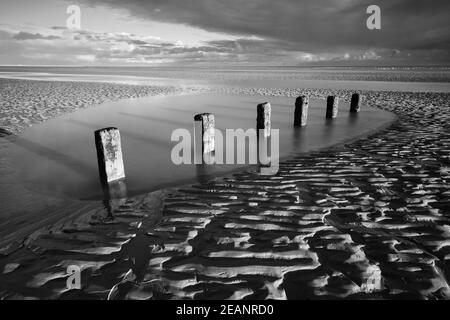 Paletti di legno marcio di vecchie difese marine sulla spiaggia di Wichelsea a bassa marea, Wichelsea, Sussex orientale, Inghilterra, Regno Unito, Europa Foto Stock