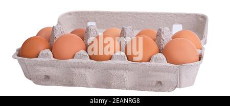 Dieci uova marrone in una confezione di cartone Foto Stock