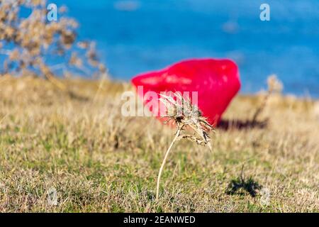 Borsa di plastica rossa della spesa in natura Foto Stock