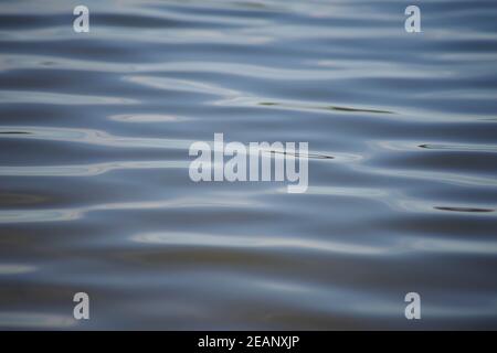 Acqua fresca e blu astratta con ondulazioni delicate Foto Stock