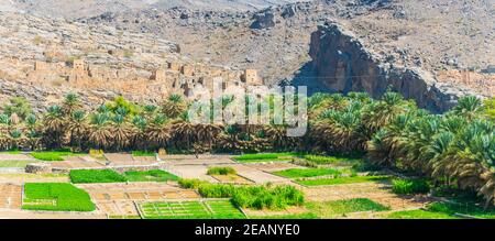 Rovine abbandonate del villaggio di Riwaygh AS-Safil con un'oasi sotto sulla strada tra al Hambra e Jebel Shams, Sultanato di Oman Foto Stock