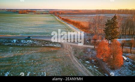 Verde invernale campo agricolo raccolti invernali sotto la neve. Alberi colorati dicembre tramonto scena aerea Foto Stock