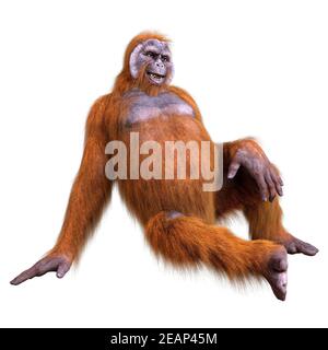 Orangutan 3D rendering su bianco Foto Stock