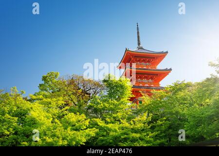 Vista di Kiyomizu-dera tempio complesso con Pagoda a Kyoto, Giappone Foto Stock