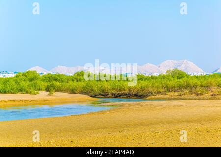 Zone umide di Mascate, la capitale dell'Oman Foto Stock