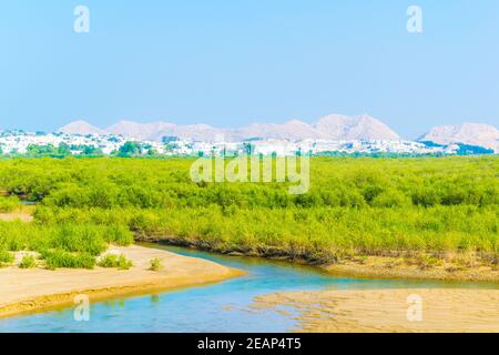 Zone umide di Mascate, la capitale dell'Oman Foto Stock