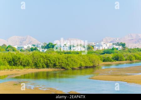 Zone umide di Mascate, la capitale dell'Oman Foto Stock