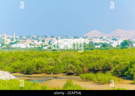 Zone umide di Mascate, la capitale dell'Oman Foto Stock