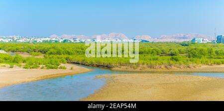 Zone umide di Mascate, la capitale dell'Oman Foto Stock