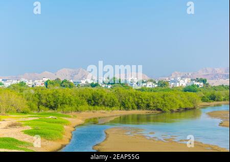 Zone umide di Mascate, la capitale dell'Oman Foto Stock