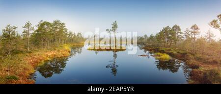 Viru torbiere a Lahemaa national park in mattina presto Foto Stock