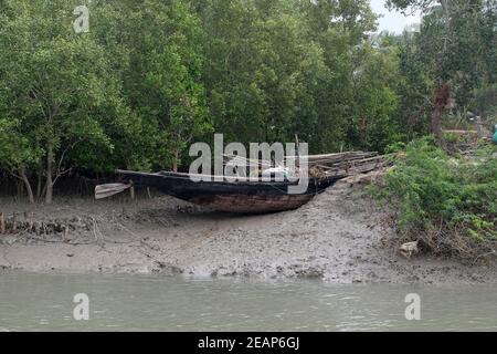 Barca su rive di fango, Mangrove foresta, Sundarbans, Gange delta, Bengala Occidentale, India Foto Stock