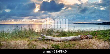 Log in spiaggia al tramonto Foto Stock