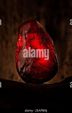 Bellezza di ambra naturale crudo. Un pezzo di ambra naturale rosso scuro semitrasparente su un pezzo di legno lapidato. Foto Stock