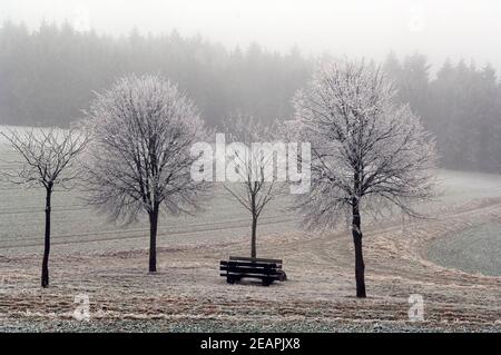 Winterlandschaft Foto Stock