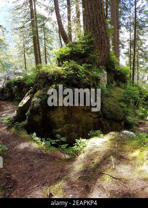 Zauberwald, Hintersee, Ramsau, Geotop, Alta Baviera Foto Stock