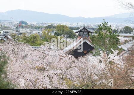 Kyoto Japan Kyoto Skyline e Cherry Blossoms dal Giardino del Tempio di Tenryuji Foto Stock