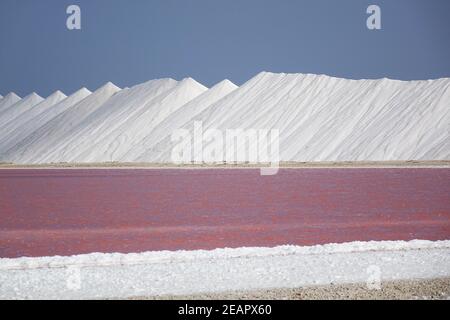 Piantagione di sale solare e raccolto su Bonaire, Mar dei Caraibi Foto Stock