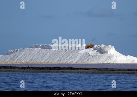 Piantagione di sale solare e raccolto su Bonaire, Mar dei Caraibi Foto Stock