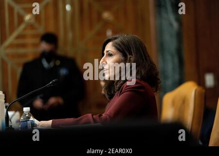 Neera Tanden, candidato del presidente Joe Biden per il direttore dell'ufficio di gestione e di bilancio (OMB), parla ad un'audizione con il Comitato del Senato sul bilancio su Capitol Hill a Washington il 10 febbraio 2021.Credit: Anna Moneymaker/Pool via CNP /MediaPunch Foto Stock