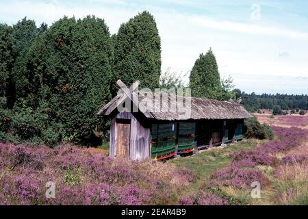 Lueneburger, Heide Bienenenhaus Foto Stock