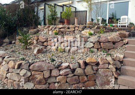 Steingarten frisch, bepflanzt, Pflanzen, junge Foto Stock