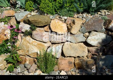 Steingarten; Trockenmauer; fuenf, Monate nach Bepflanzung Foto Stock