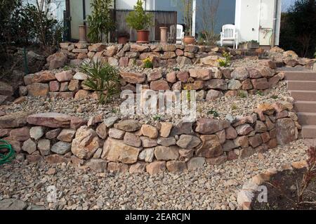 Steingarten frisch, bepflanzt, Pflanzen, junge Foto Stock