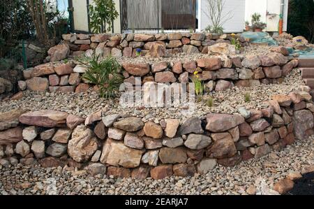 Steingarten frisch, bepflanzt, Pflanzen, junge Foto Stock