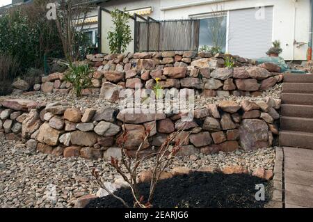 Steingarten frisch, bepflanzt, Pflanzen, junge Foto Stock