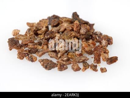 Propoli, Bienenkittharz Foto Stock