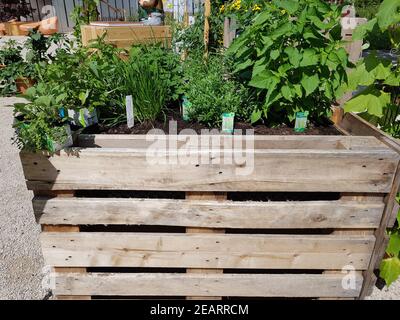 Hochbeet, Kraeuter, Gemuese Foto Stock