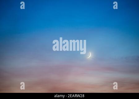 Luna di Crescent su cielo scuro Foto Stock
