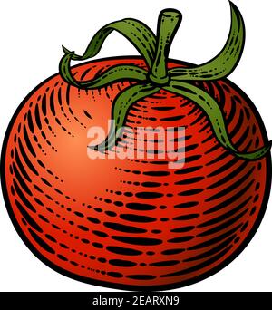 Illustrazione del Woodcut d'epoca con verdure a pomodoro Illustrazione Vettoriale