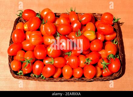 Pflaumen-Buschtomate, Romello, F1, Lycopersicon, esculentum Foto Stock