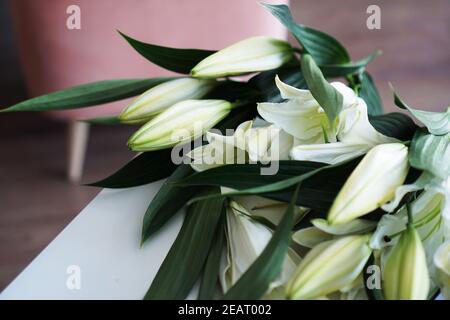 Bouquet di Lily sullo sfondo di interni moderni di colore bianco-rosa Foto Stock