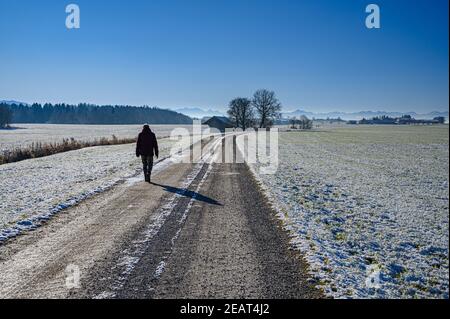 Camminando attraverso i campi Foto Stock