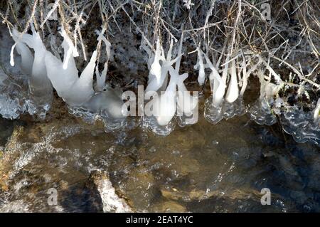 Eiszapfen, am Bachlauf Foto Stock